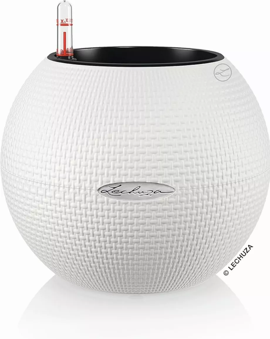 Il dispose d'un système d'irrigation automatique. (Amazone)