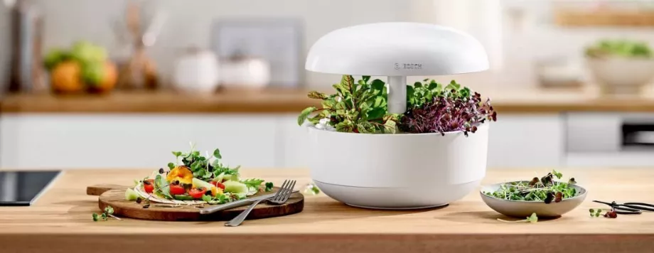 Les mini-jardins produisent de la nourriture pour la maison. (Bosch)