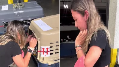 Il est parti vivre à l'étranger, ses chiens sont arrivés et il a été ému aux larmes