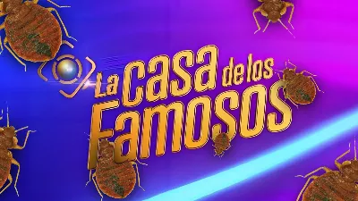 Y a-t-il des punaises de lit dans « La Casa de los Famosos » ? Nous le savons | VIDÉO