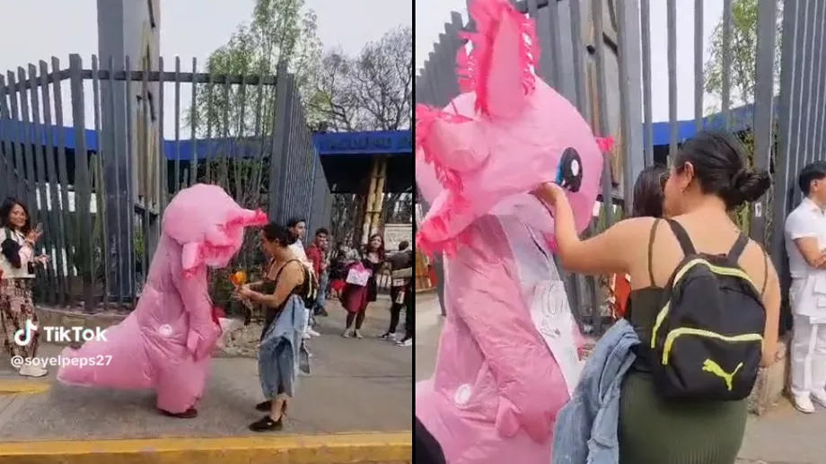 Un jeune homme a tenté de surprendre sa petite amie, mais sans résultats positifs Crédit : TikTok : Pepe G- Rodríguez