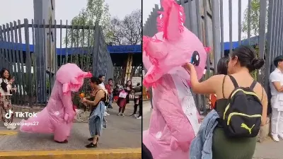 Un jeune homme habillé en axolotl a été rejeté le jour de la Saint-Valentin : « Un soldat axolotl tombé »