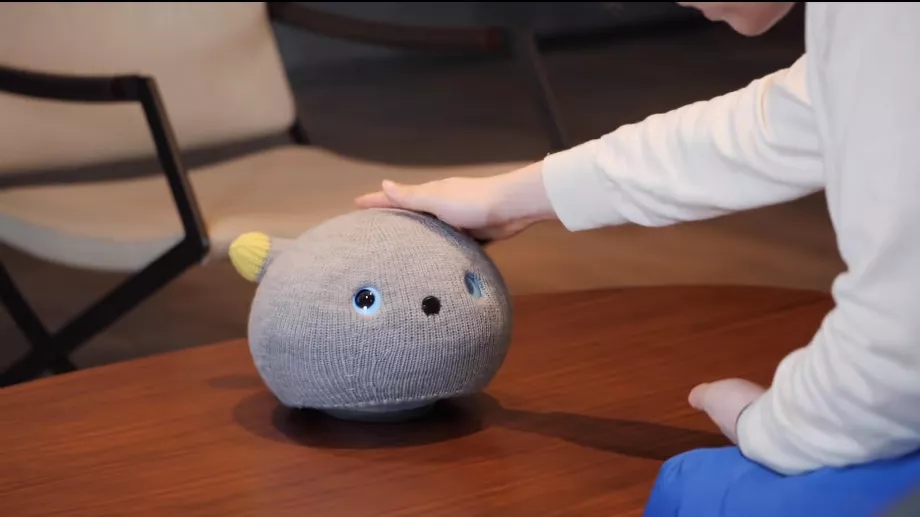 Le robot NICOBO améliore son vocabulaire au fur et à mesure qu'il interagit avec l'utilisateur. (Panasonique)