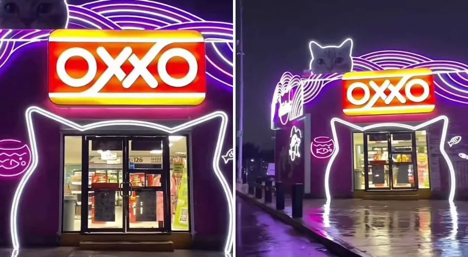 À Querétaro, un Oxxo sur le thème du chat devient viral sur TikTok