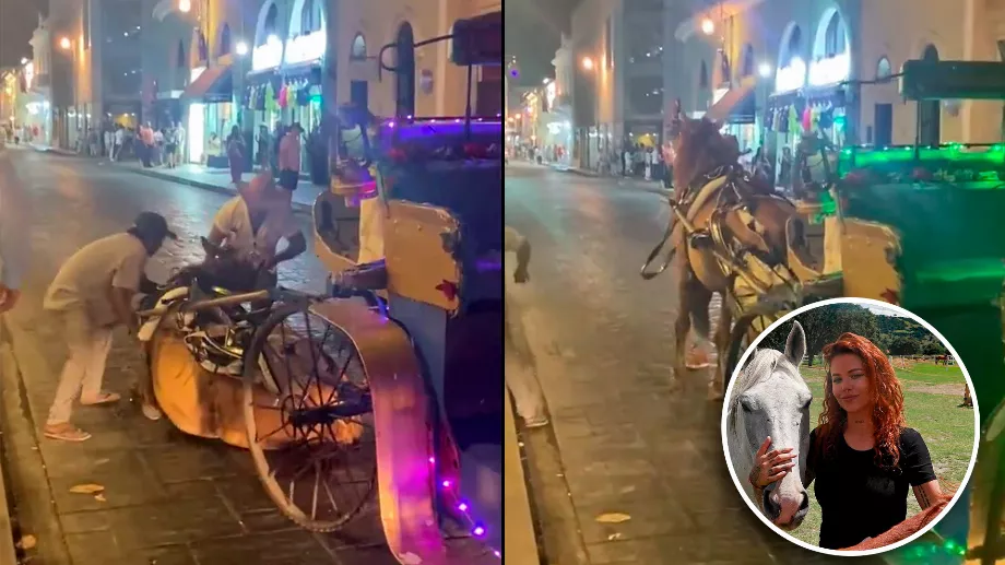 Les mauvais traitements infligés à un cheval dans les rues de Mérida ont été rapportés sur les réseaux Crédit : X : PorEstoOnline et Cuartoscuro