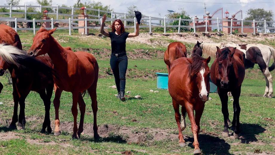 Elena Larrea et l'histoire émouvante du sauvetage des chevaux se sont fait connaître grâce aux réseaux sociaux. Crédit : Cuartoscuro