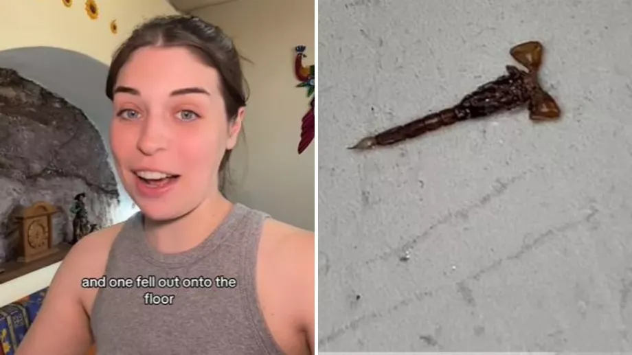 Il prétend s'être sauvé en ne vérifiant pas les couvre-lits et les serviettes de sa maison. (TikTok @chunka.munka)