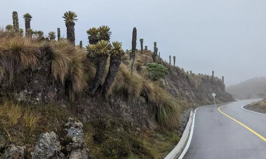 Manizales est une ville reconnue pour sa proximité avec certaines landes. Crédit Concessionnaire Alternatives Routes