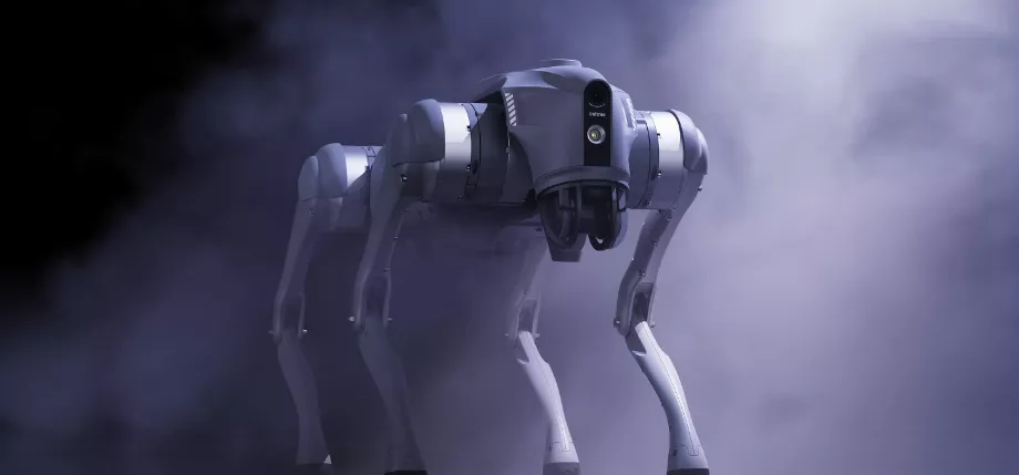 Ce robot est capable de supporter des objets d'un kilo sur son dos. (Unitree)