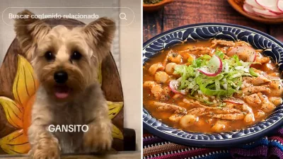 Le chien devient viral pour sa tendre réaction lorsque son propriétaire lui propose du pozole à manger | VIDÉO