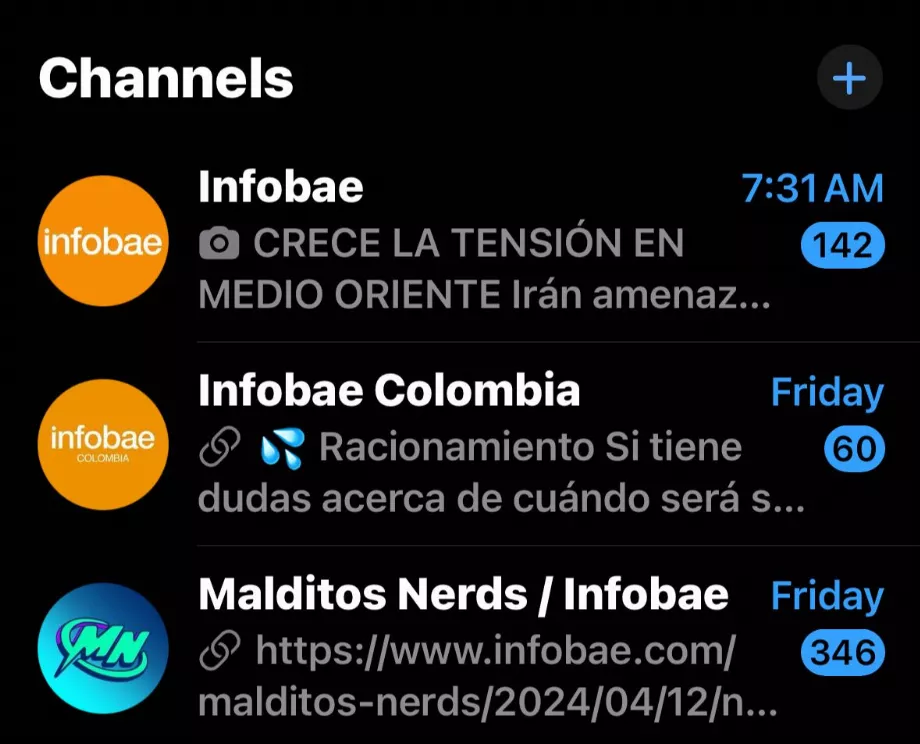 Voici à quoi ressemblent les chaînes WhatsApp avec la nouvelle mise à jour. (Photo : capture WhatsApp)