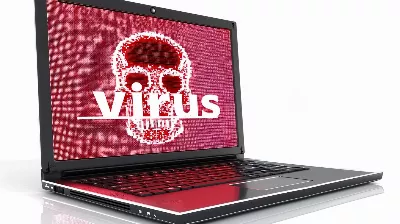 Cookies : pourquoi ils constituent un risque pour la sécurité lors de la navigation sur le Web