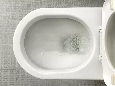 Elle a contacté WhatsApp pour déboucher les canalisations de sa maison et la réponse qu’elle a reçue l’a choquée.
