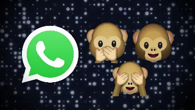 Que signifient réellement les émojis de singe ? C'est son incroyable histoire