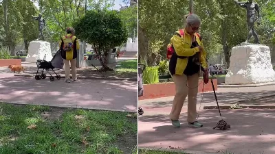 Il a enregistré une femme promenant une tortue en laisse dans un parc et la scène est devenue virale en quelques minutes.