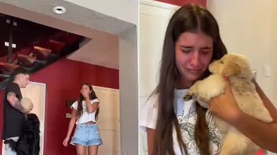 "Après tant de pleurs, elle est heureuse" : il a offert un chiot à sa copine et la réaction a ému sur TikTok