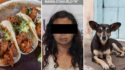 Une femme est arrêtée pour avoir vendu des tacos à la viande de chien enchilada à Puebla