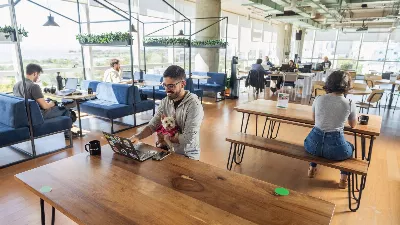 Marché du travail : 90 % des Argentins considèrent l'intelligence artificielle comme un outil positif