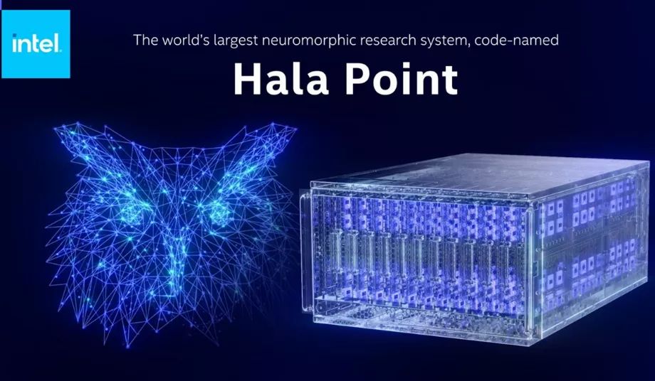 Sa capacité à traiter plus de 380 milliards d'opérations synaptiques de 8 bits par seconde et plus de 240 milliards d'opérations neuronales par seconde rapproche son fonctionnement de celui des cerveaux de petits primates, comme le singe capucin, ou d'oiseaux comme le hibou. , en termes de nombre de neurones et de synapses. (Intel)
