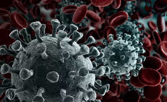 Un expert américain en sécurité nationale a évalué les risques de l'IA dans les domaines biologique et militaire