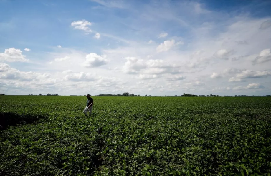 Pour l'agriculture numérique, il n'y a pas de revue bibliographique et il y a seulement une compilation d'expériences et d'anecdotes (REUTERS/Agustin Marcarian/)