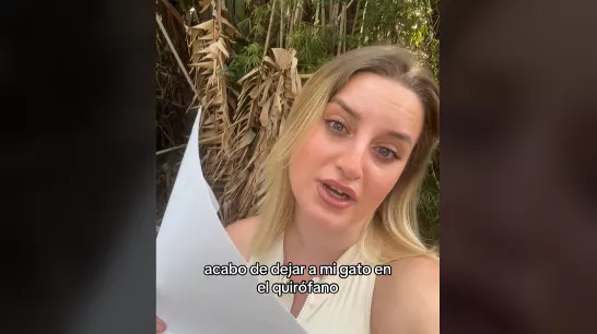 Une Espagnole explique combien le vétérinaire lui a coûté aux États-Unis : « Je ne sais pas si je dois pleurer pour l'argent ou pour le chat. »