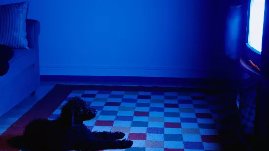 Quels sont les risques de s’endormir avec la télévision allumée ?