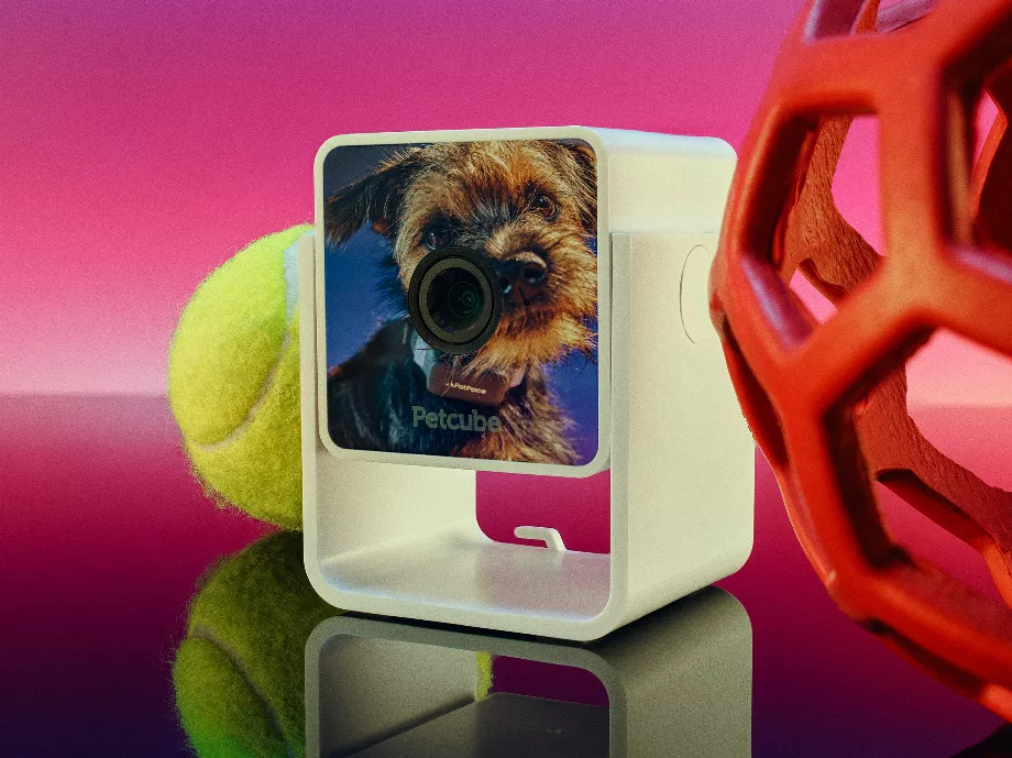 Sandeep Sadhu utilise un robot appelé ORo pour nourrir et divertir son mini goldendoodle, Simba. (Chelsea Kyle/Le Washington Post)