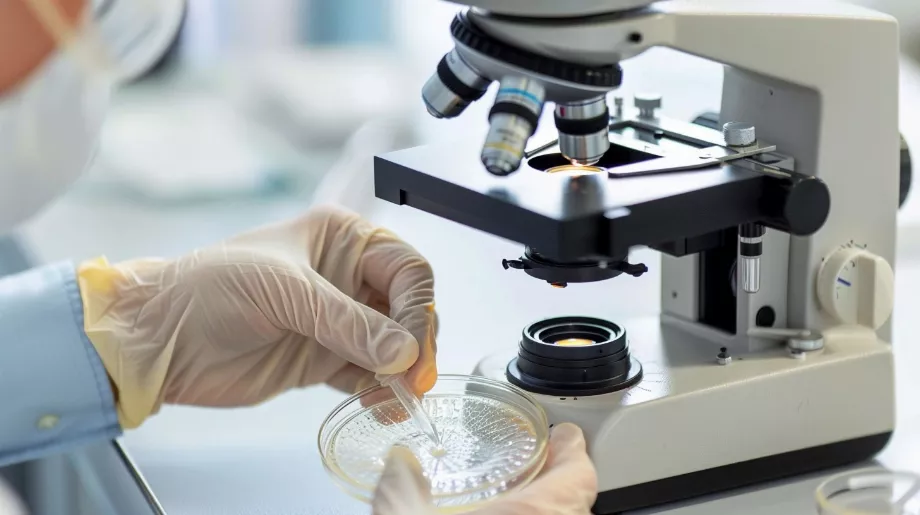 Il est de plus en plus courant que l’IA soit intégrée dans les domaines scientifiques.