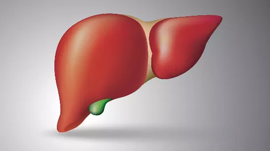 Comment fonctionne le nouveau test sanguin basé sur l’IA qui pourrait améliorer la détection précoce du cancer du foie
