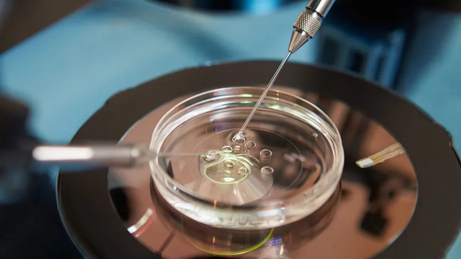 Grâce à l'IA, les traitements de fertilité assistée sont moins invasifs, en remplaçant certaines interventions ou biopsies par les résultats obtenus par les nouvelles plateformes en comparant des centaines de milliers de données (Getty)