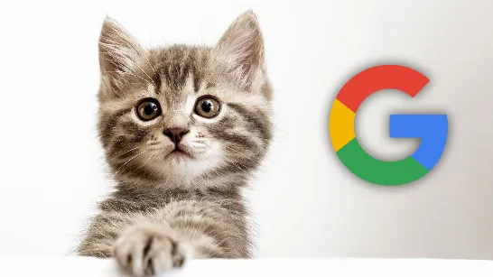 Découvrez avec Google à quoi ressemblerait votre chat s'il était une œuvre d'art.