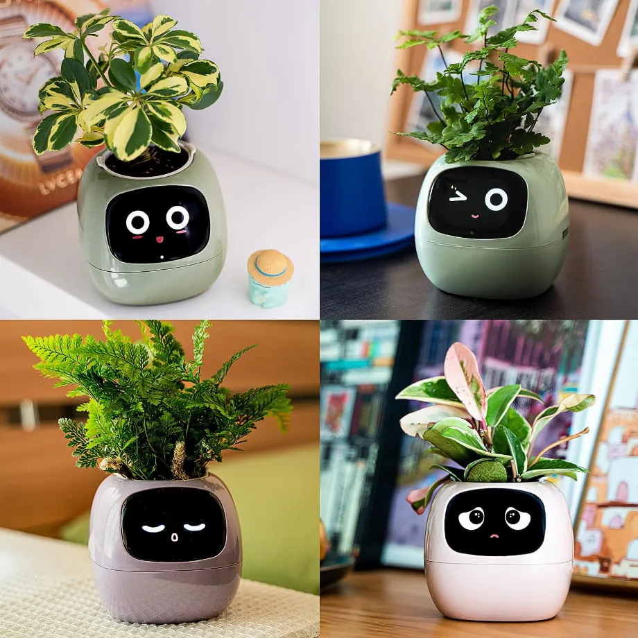 Ivy montre des gestes sur un écran pour montrer l'état de la plante. (mypetplanter)