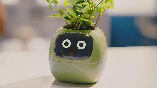 The smart pot that brings your plant to life: it makes it laugh, gets angry, and connects with Alexa.