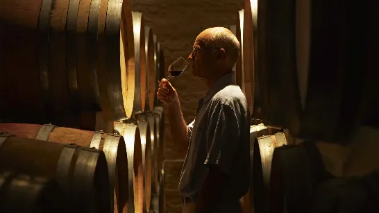 Journée de l'œnologue : trois artisans qui reflètent le grand moment du vin argentin.