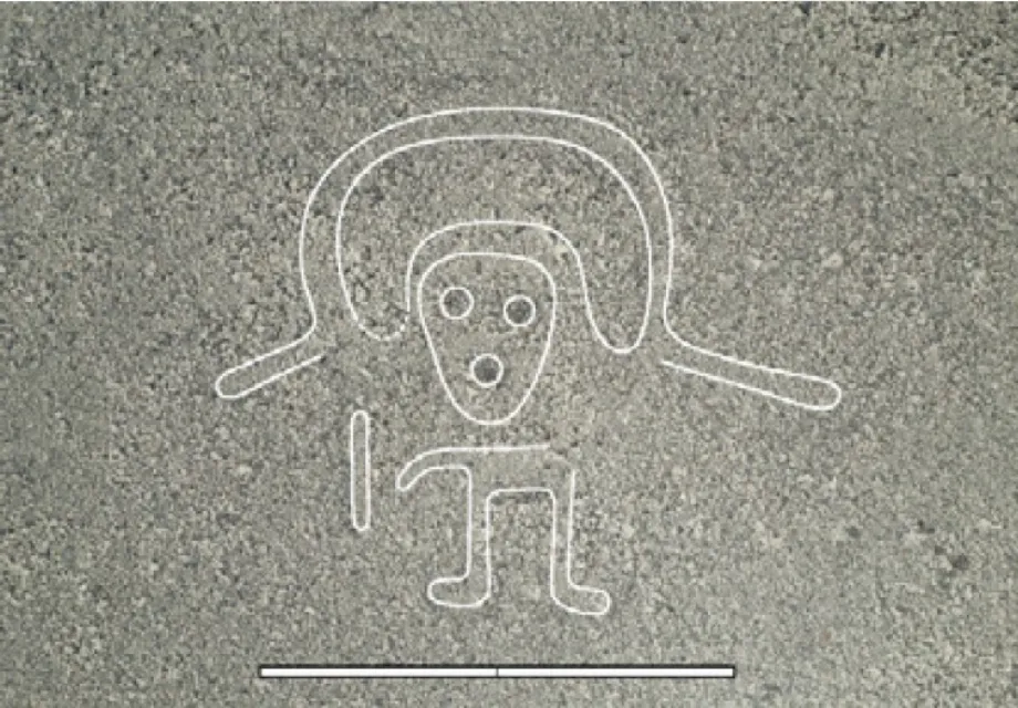 Les nouveaux géoglyphes comprennent des figures anthropomorphes et des animaux locaux. Contrairement aux grandes lignes cérémoniales, ces représentations semblent liées à des rituels sociaux locaux et à des marqueurs de chemins. (Diffusion)