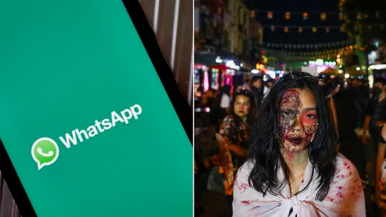 Active le mode Halloween sur WhatsApp et profitez au maximum de cette saison.