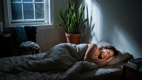 La plante que les experts recommandent de mettre dans votre chambre pour mieux dormir et que presque tout le monde a dans le salon.