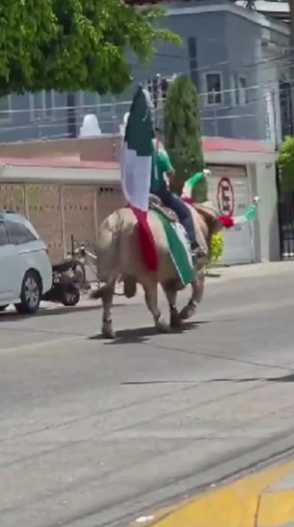 L'Équipe Mexicaine et des utilisateurs des réseaux ont réagi avec humour face à une scène qui est déjà un phénomène digital.