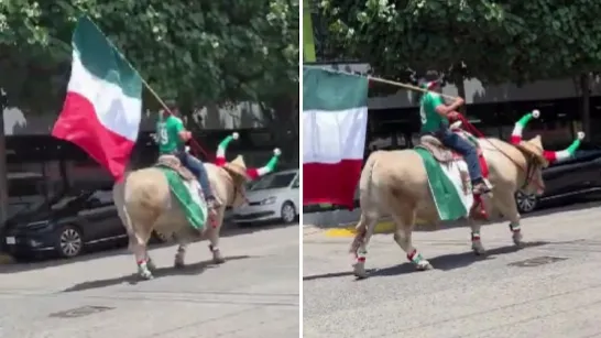 Capturent un individu montant un taureau lors des célébrations de la Coupe du Monde 2026 à Jalisco : la vidéo devient virale.