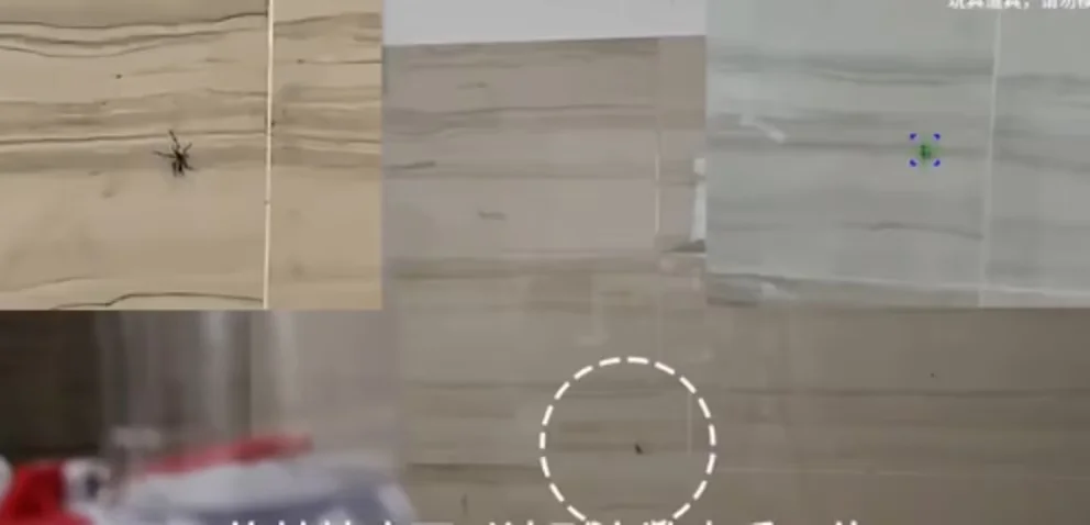 Moustiques à l'intérieur de la maison sont éliminés grâce à l'utilisation de lasers contrôlés par IA.