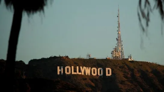 Des serpents aux mammifères et aux oiseaux : la vie secrète derrière l'affiche de Hollywood