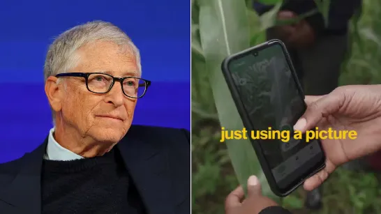 Bill Gates annonce une solution avec l'intelligence artificielle pour lutter contre les maladies des cultures en Afrique
