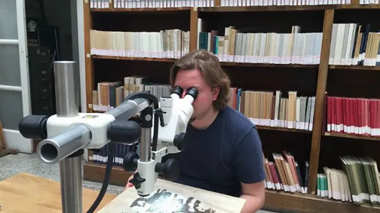 Avec l'intelligence artificielle et les rayons X, des scientifiques parviennent à lire des parchemins carbonisés vieux de près de 2000 ans.
