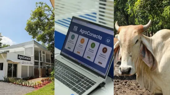 Le Salvador lance AgroConecta, une plateforme numérique pour assister le secteur agricole
