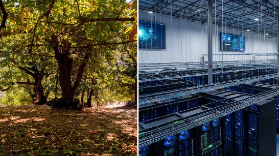Un centre de données d'IA de 20 milliards de dollars cible une forêt centenaire de châtaigniers