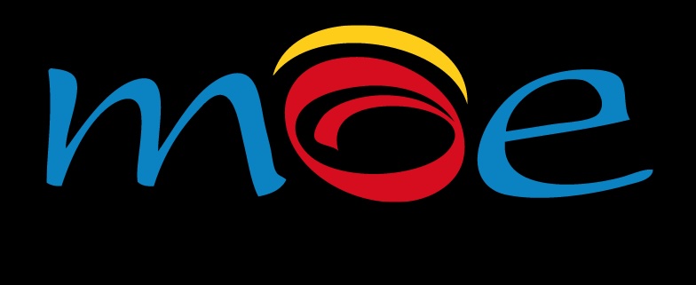 Analyse des Résultats Électoraux 2024 au Venezuela par la MOE : Divergences et Recommandations